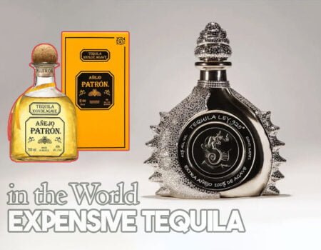 Exploring the World of Expensive Tequila: A Luxury Experience