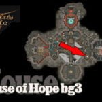 How to Get House of Hope bg3 (Baldur's Gate 3)