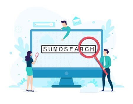 Can Search Engines Respect Privacy? SumoSearch Says Yes!