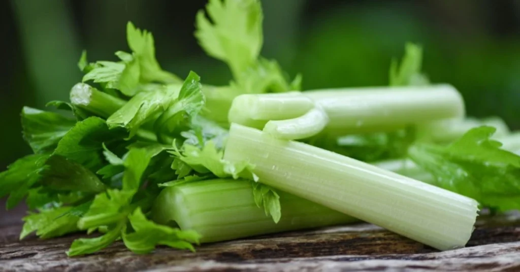 Pravi Celer nutrition, health benefits, recipes, celery juice, and weight loss diet